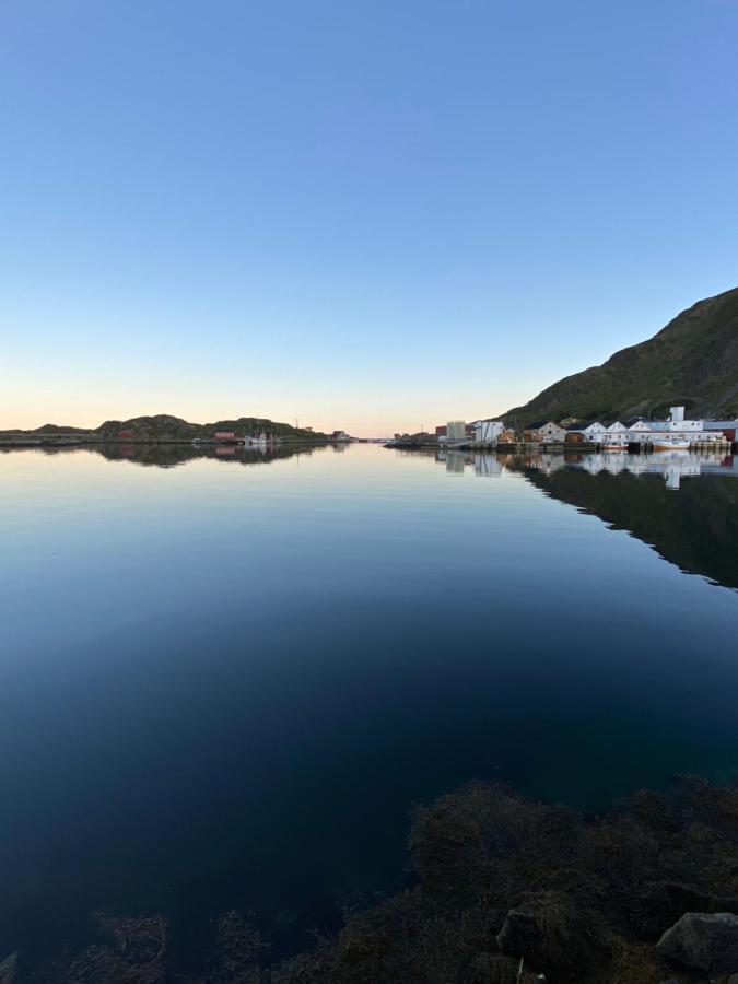 Nordlandshuset "Lottebakken", Ballstad In Lofoten Ngoại thất bức ảnh