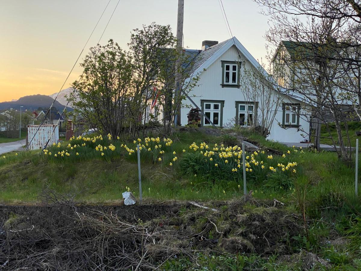 Nordlandshuset "Lottebakken", Ballstad In Lofoten Ngoại thất bức ảnh